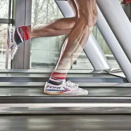 Hotel Dorint Kongresshotel Düsseldorf/neuss 4*